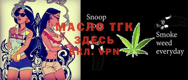 индика Абаза