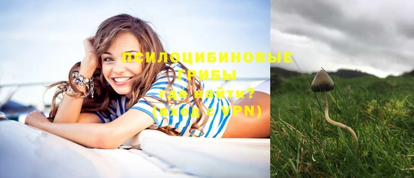индика Абаза