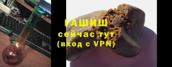 индика Абаза