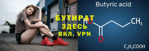 индика Абаза