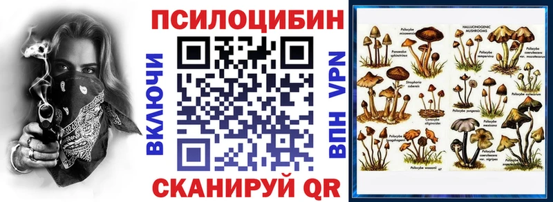 Псилоцибиновые грибы Psilocybine cubensis  Дятьково 
